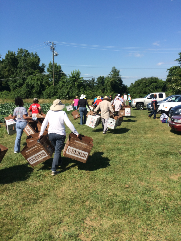 Let’s Glean, United We Serve Toolkit