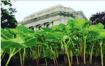 U.S. Food Loss and Waste 2030 Champions