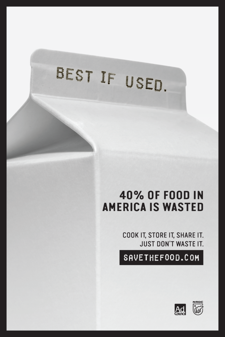 Save The Food