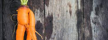 Solving Food Waste: Start at the Source