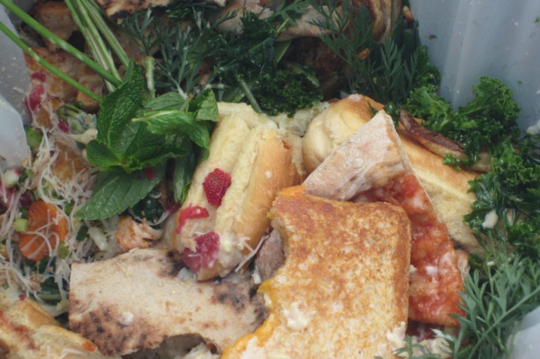 New and Emerging Food Waste Recycling Technologies – A Guide