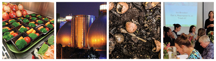 Governmental Plans to Address Waste of Food