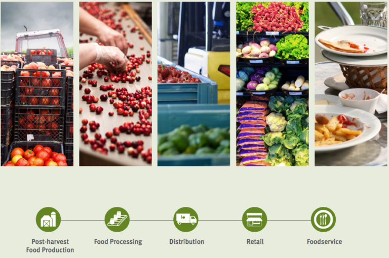 Characterization of Management of Food Loss and Waste in North America