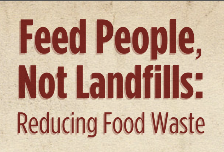 Reducing Food Waste Infographic