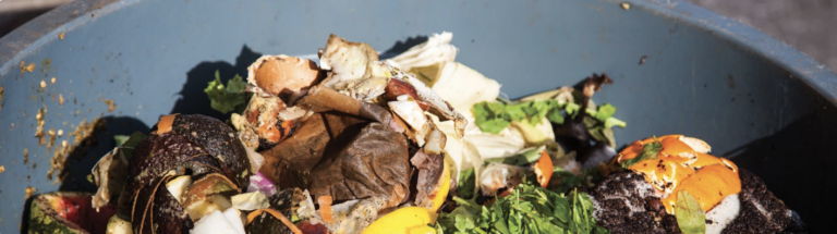 Eat Right and Reduce Food Waste