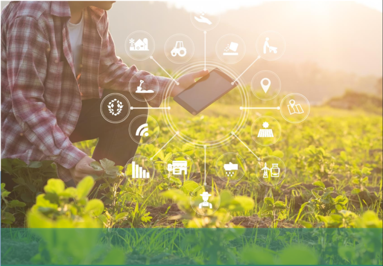 Technical Report: Quantifying Food Loss and Waste and Its Impacts